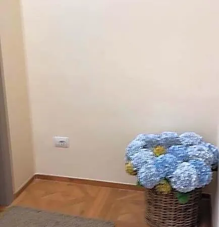 Belvedere Колико