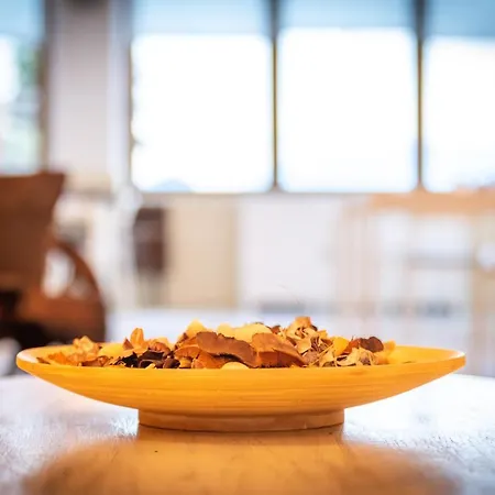 Bed & Breakfast Belvedere